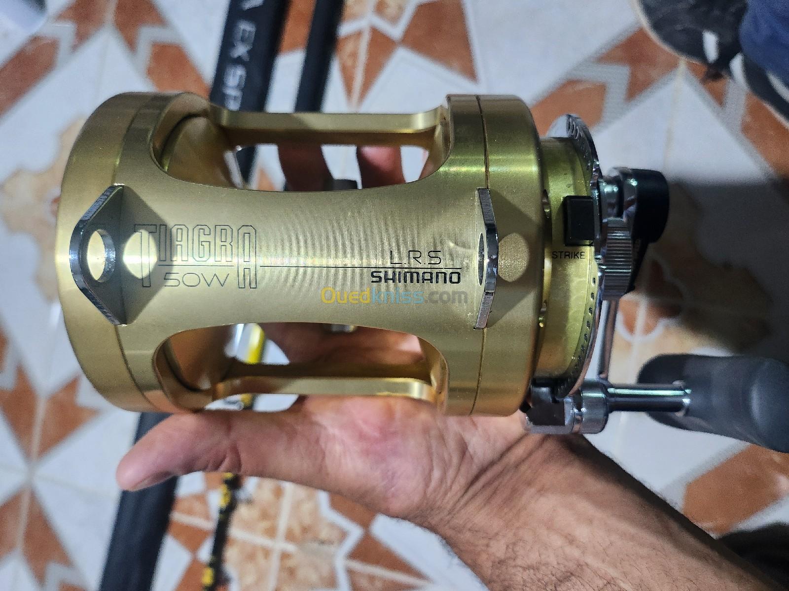 Canne Gros Shimani + Moulinet Shimano