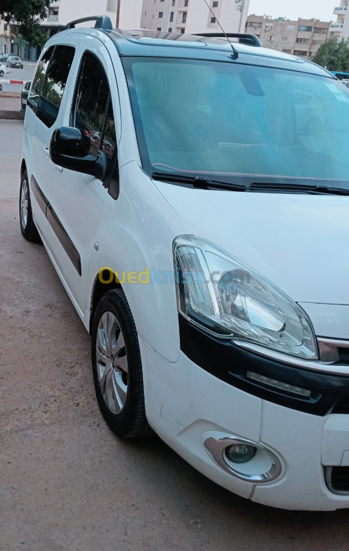 Citroen Berlingo Multispace 2014 