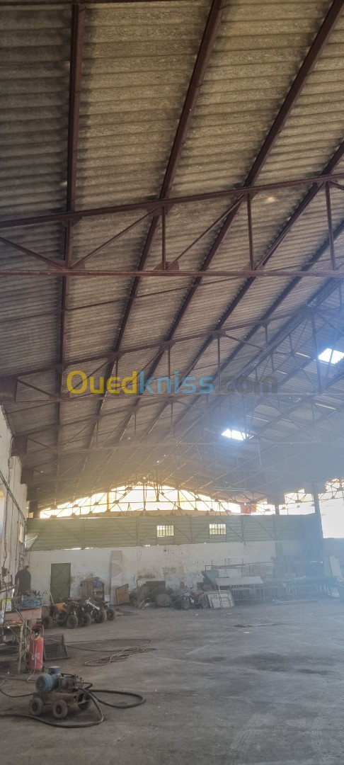 Vente Hangar Sidi Bel Abbès Sidi bel abbes