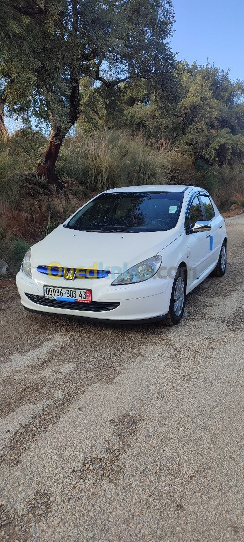 Peugeot 307 2003 307