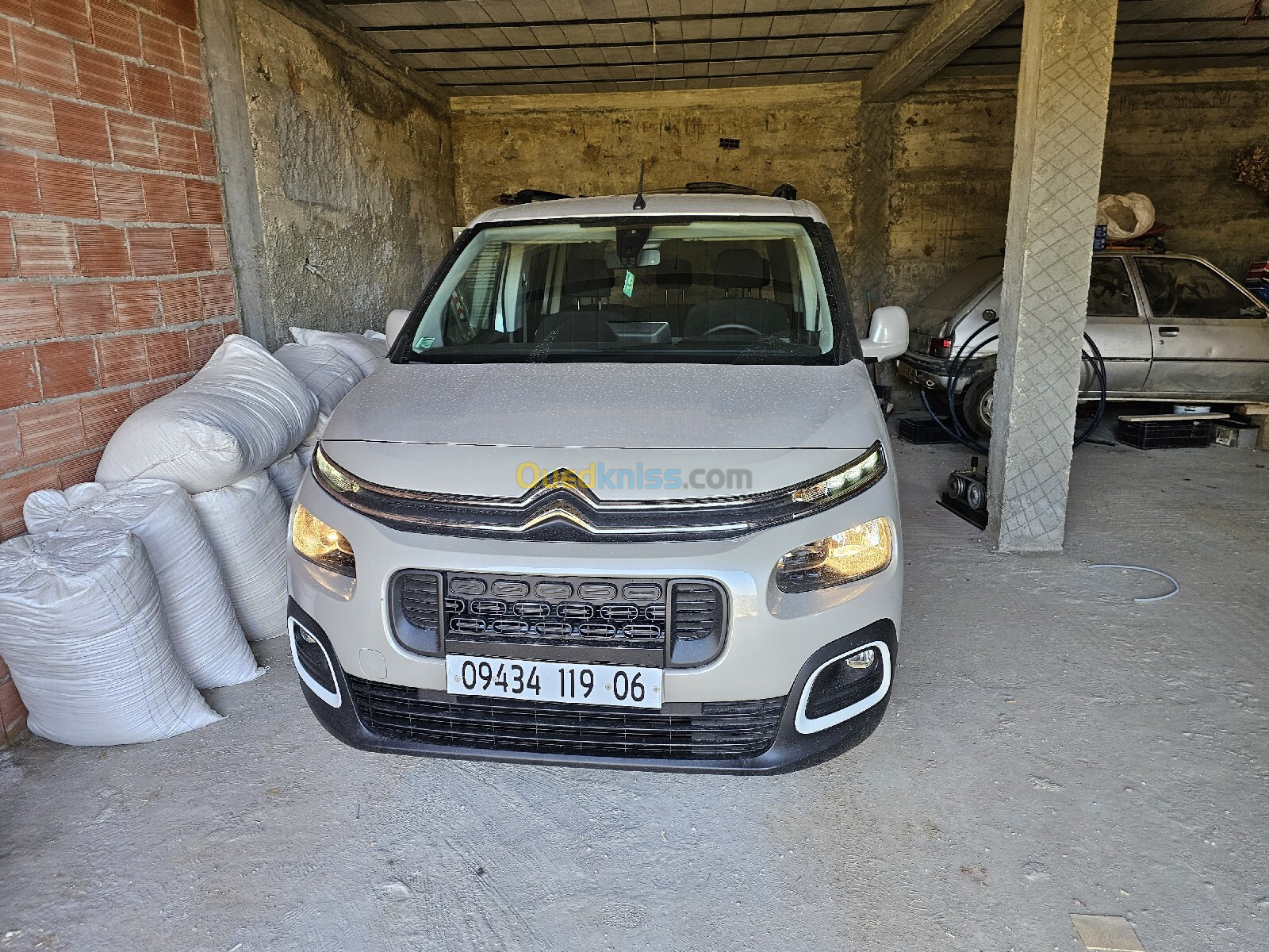 Citroen Berlingo 2019 Collection