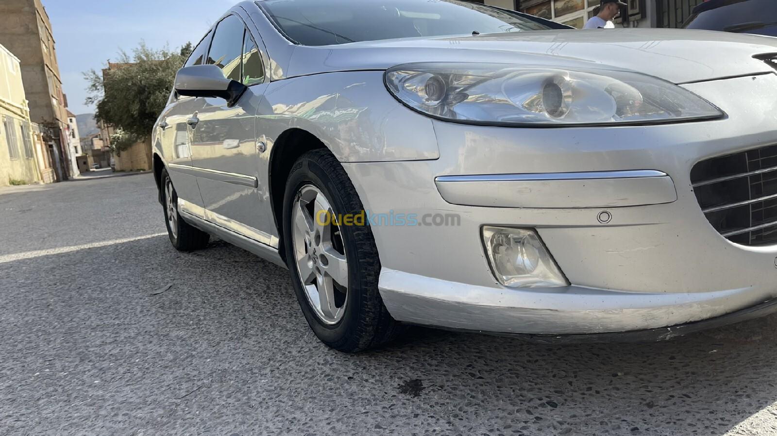 Peugeot 407 2009 HDi 110