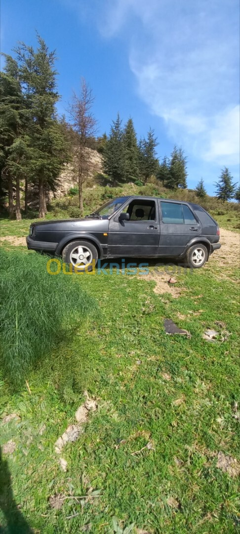 Volkswagen Golf 2 1991 Golf 2