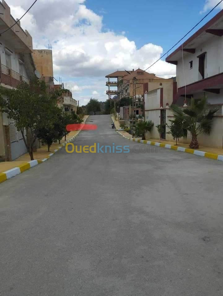 Vente Terrain Setif Guenzet