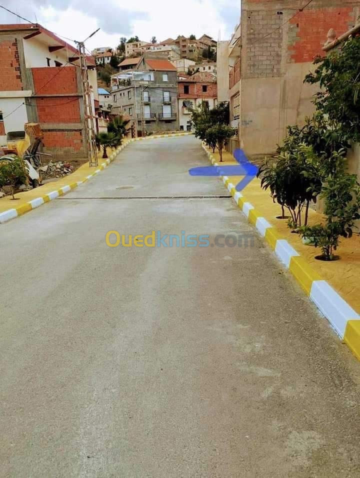 Vente Terrain Setif Guenzet