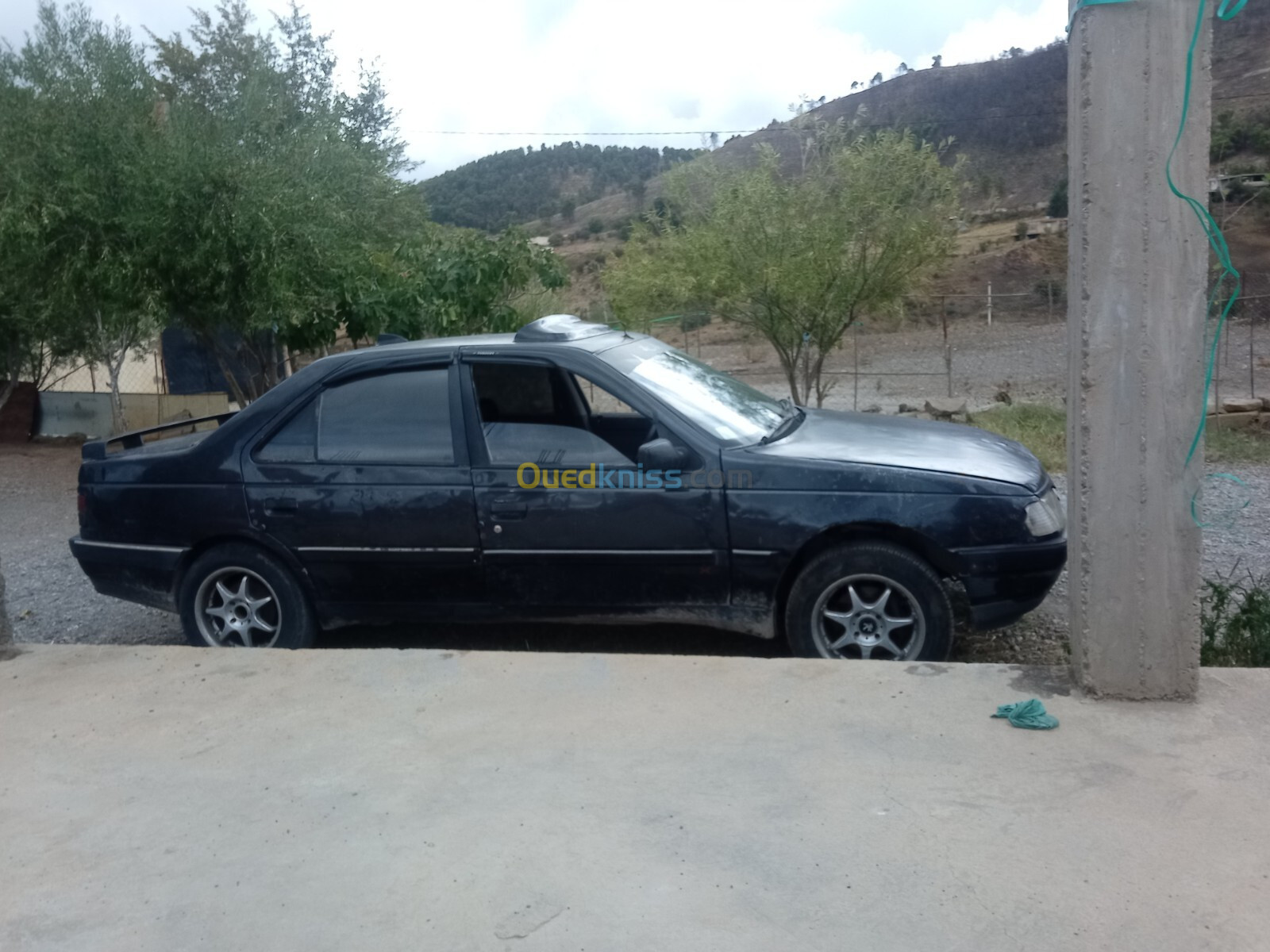 Peugeot 405 1991 405