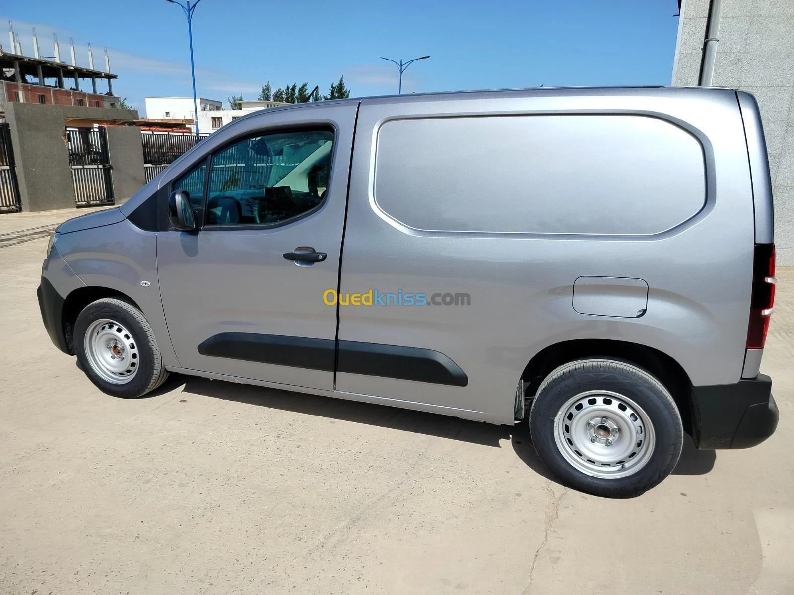 Fiat Doblo 2024 Professionnel