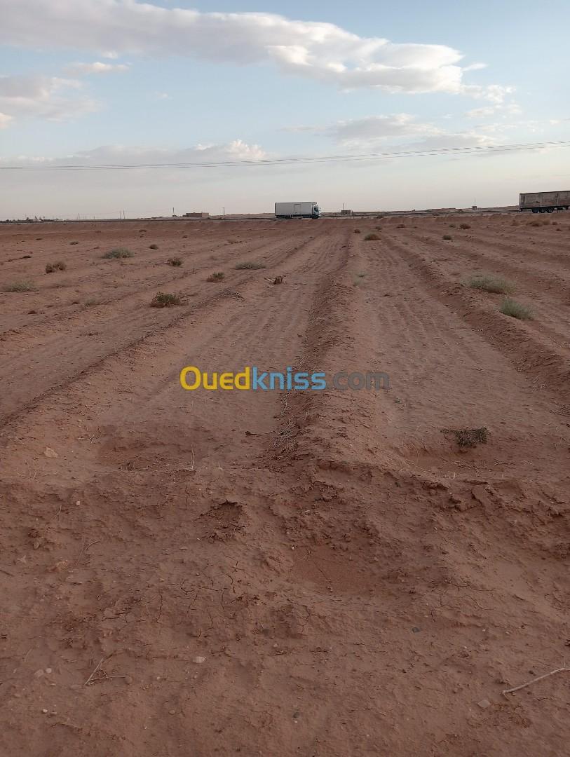 Vente Terrain Agricole Biskra Oumache