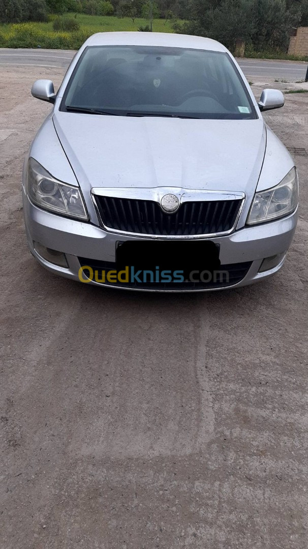 Skoda Octavia 2010 Octavia