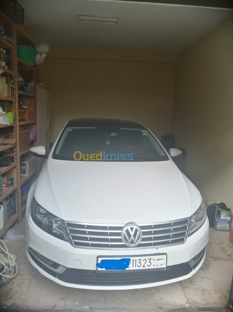 Volkswagen Passat CC 2013 Passat CC