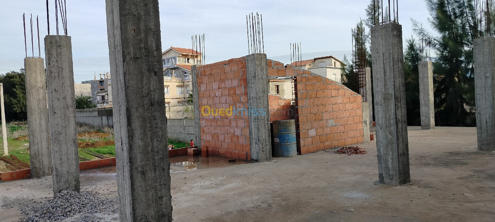 Vente Carcasse Boumerdès Ouled hedadj