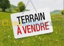 Vente Terrain Alger Baraki