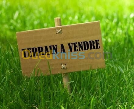 Vente Terrain Alger Oued smar