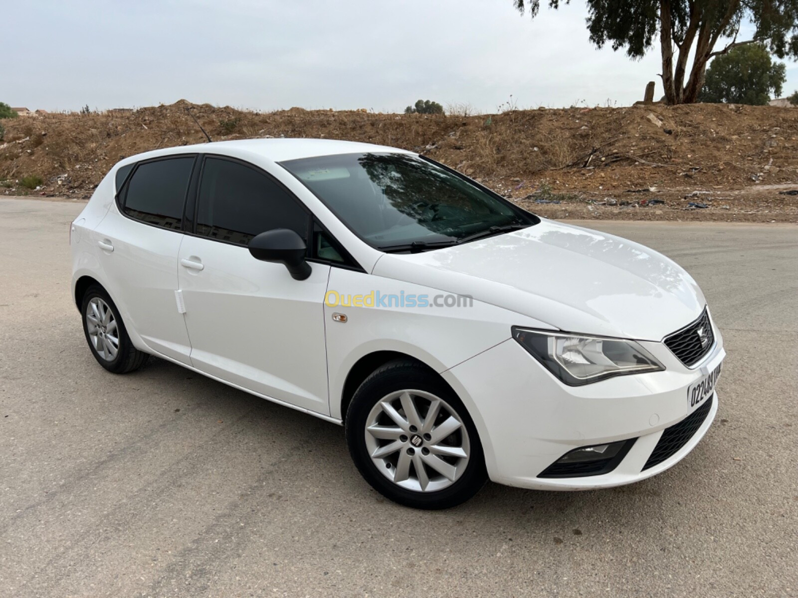 Seat Ibiza 2014 Fully