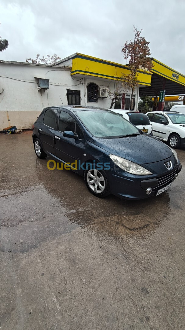 Peugeot 307 2006 307