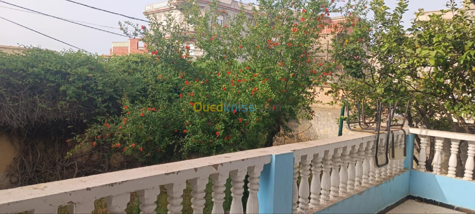 Location Appartement F4 Skikda Skikda