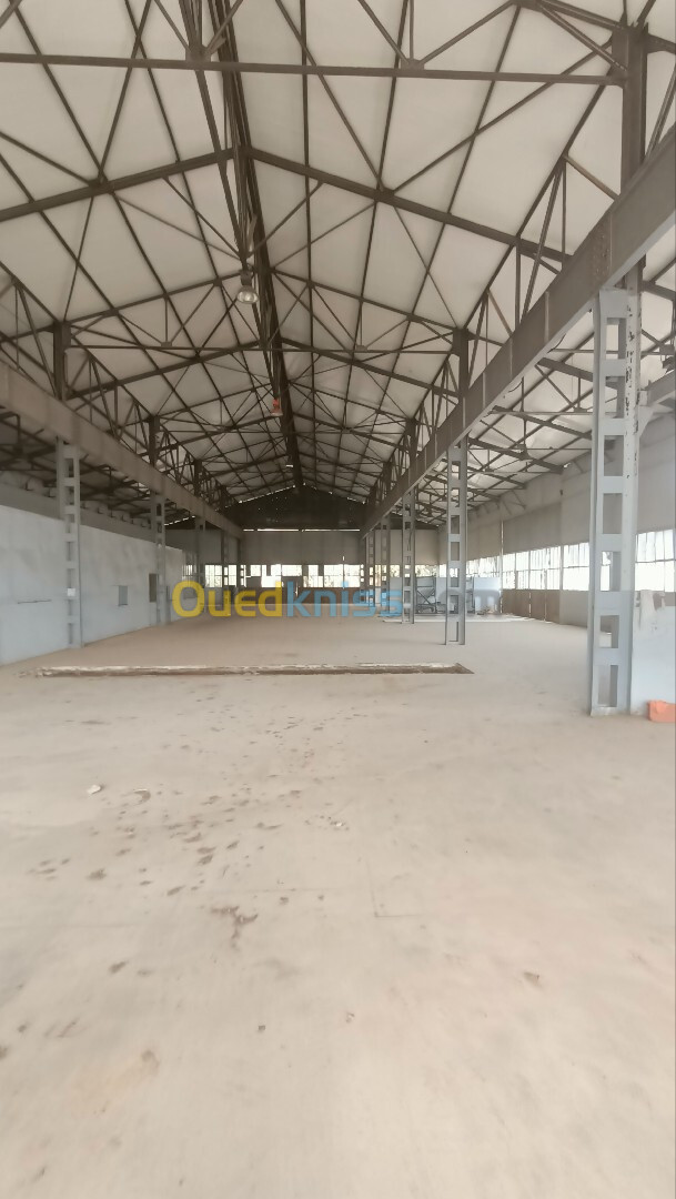 Location Hangar Alger Dar el beida