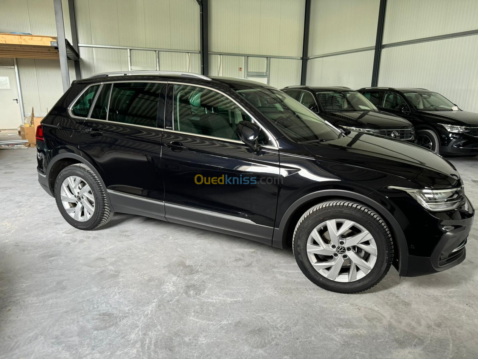 Volkswagen TIGUAN 2023 MOVE