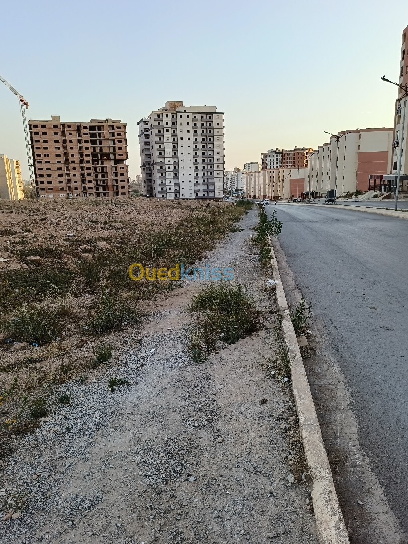 Vente Terrain Oran Bir el djir