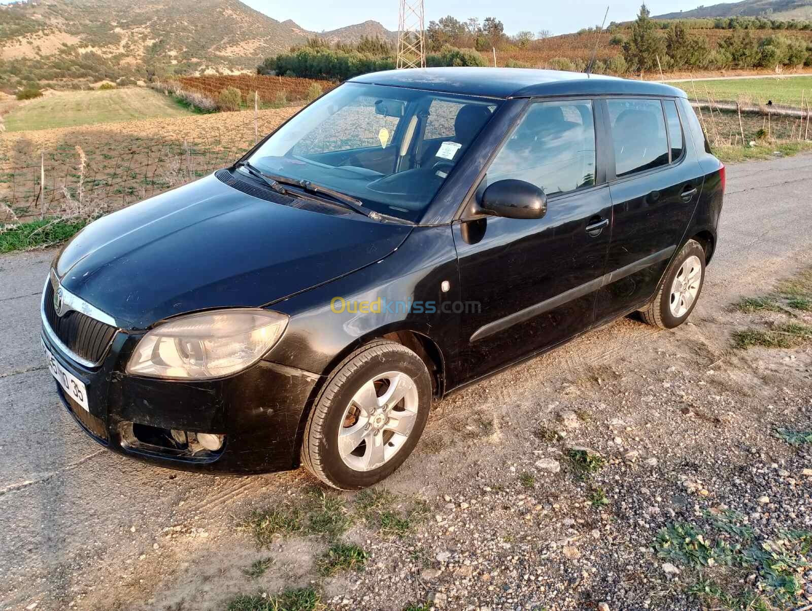 Skoda Fabia 2010 