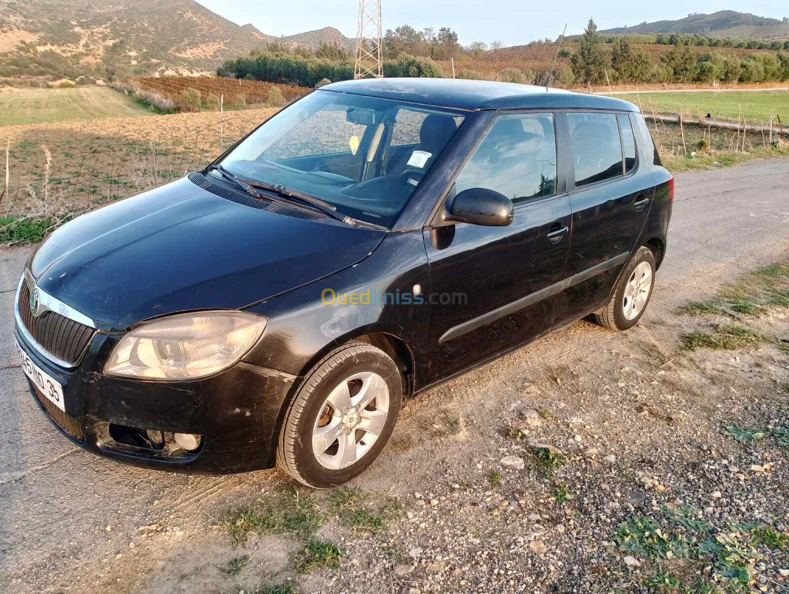 Skoda Fabia 2010 