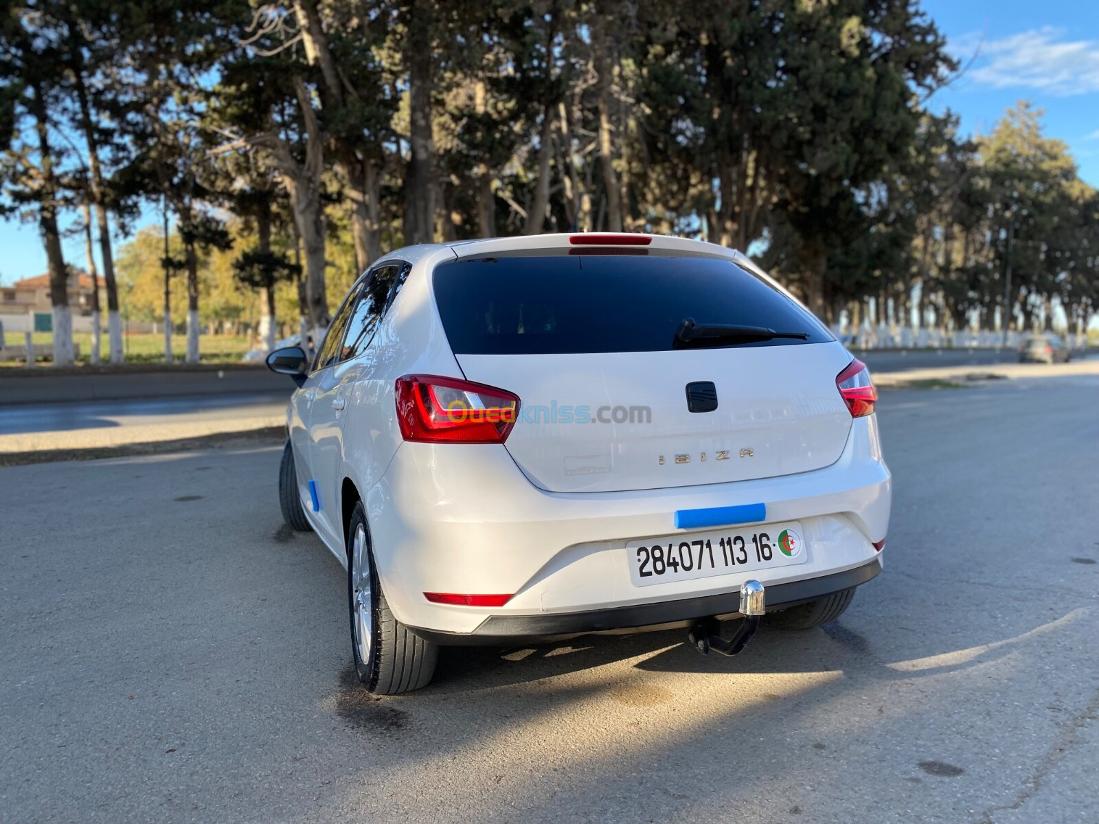 Seat Ibiza 2013 Fully