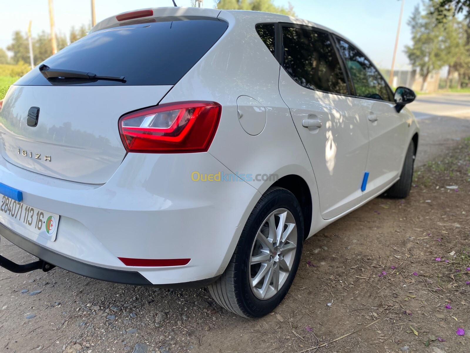 Seat Ibiza 2013 Fully