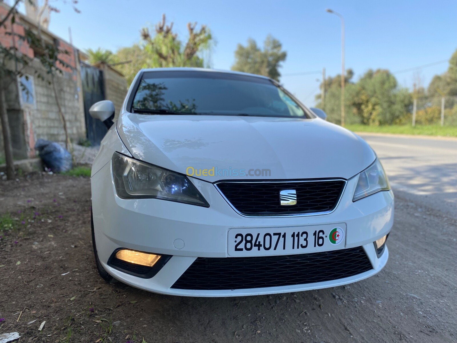 Seat Ibiza 2013 Fully