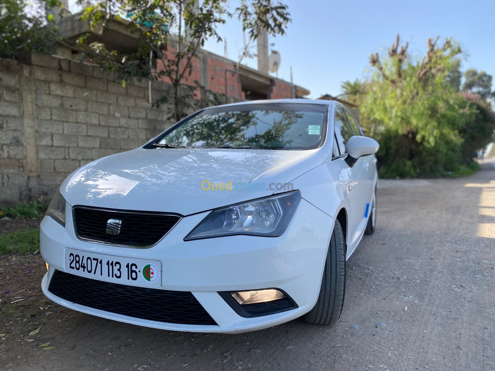 Seat Ibiza 2013 Fully