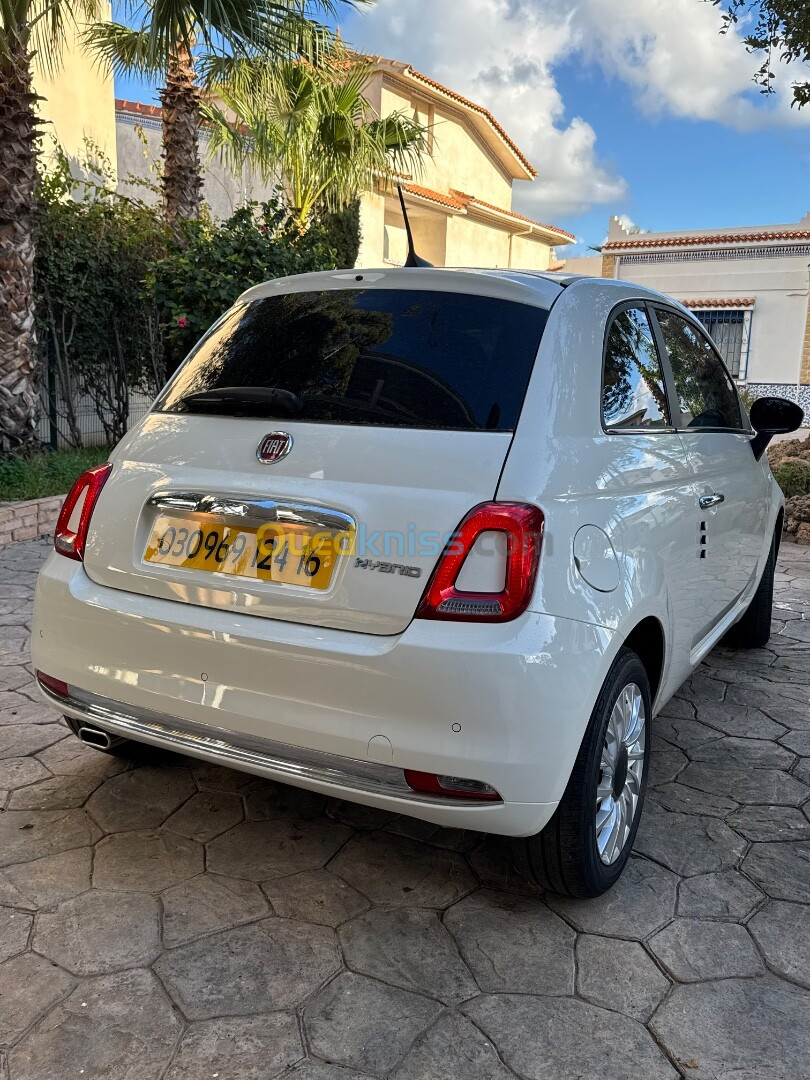 Fiat 500 2024 