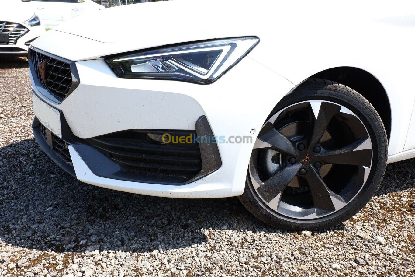 Seat Cupra 2023 