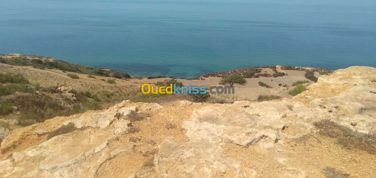 Vente Terrain Mostaganem Achaacha