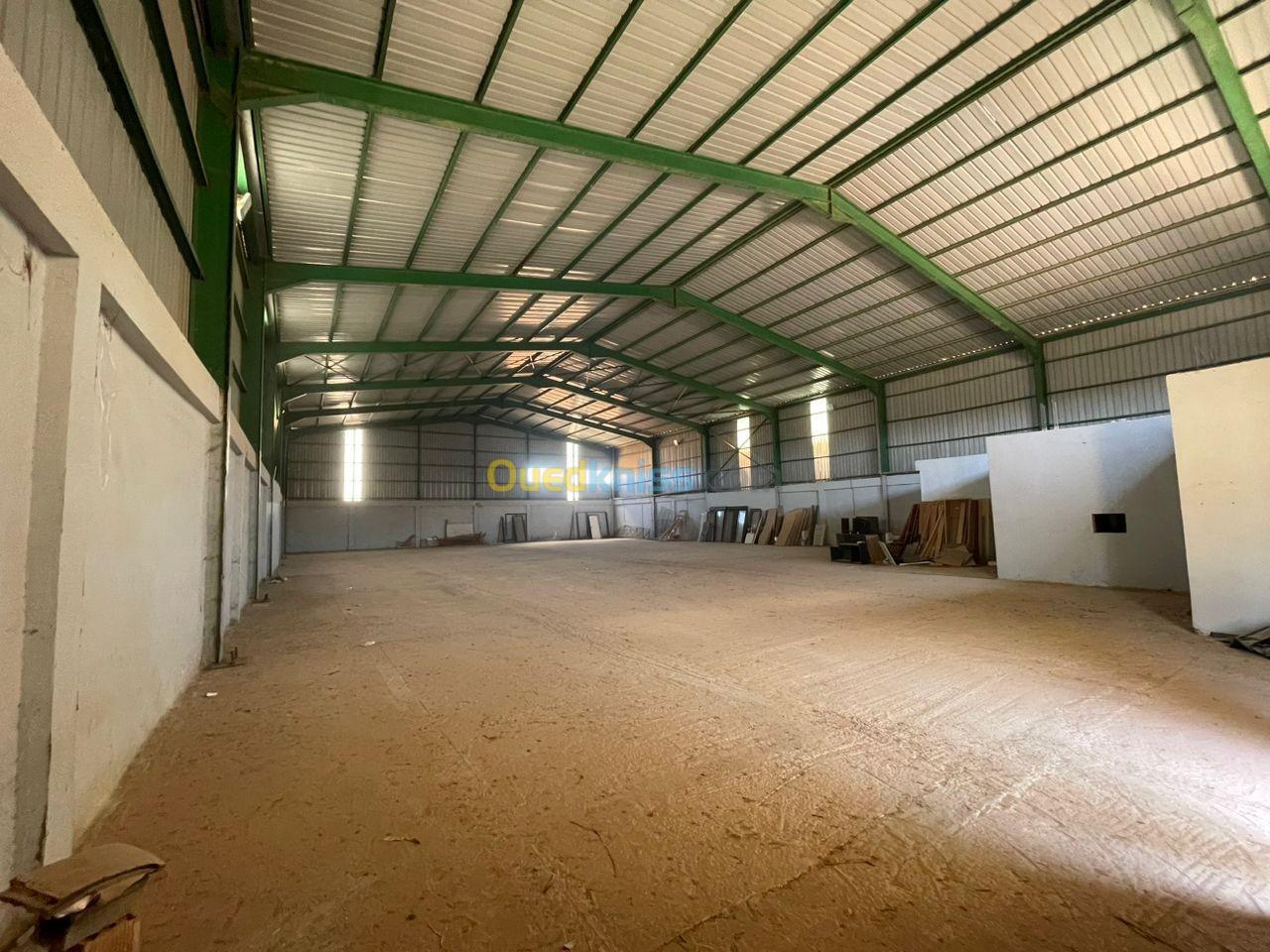 Location Hangar Oran Sidi chami