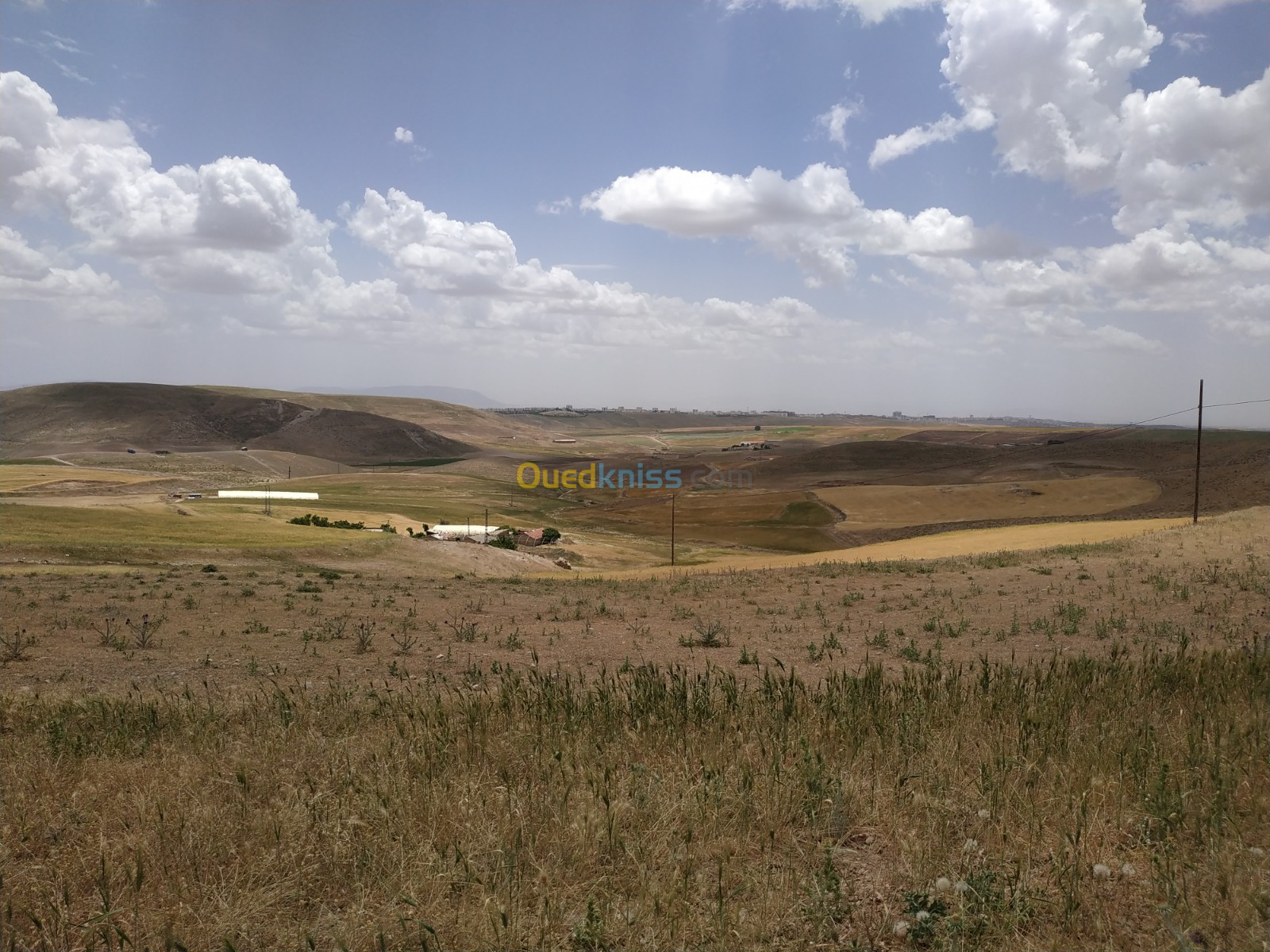 Vente Terrain Agricole Sétif El ouricia