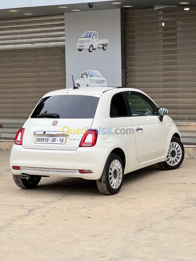 Fiat 500 2024 