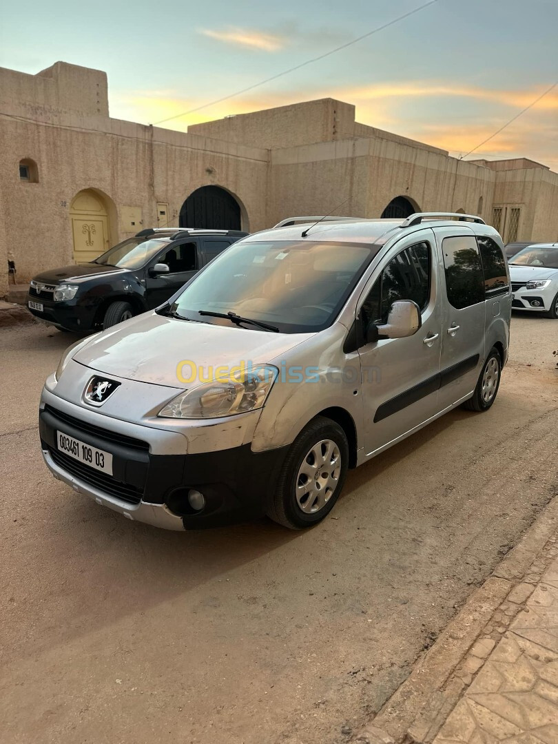 Peugeot Partner 2009 Tepee