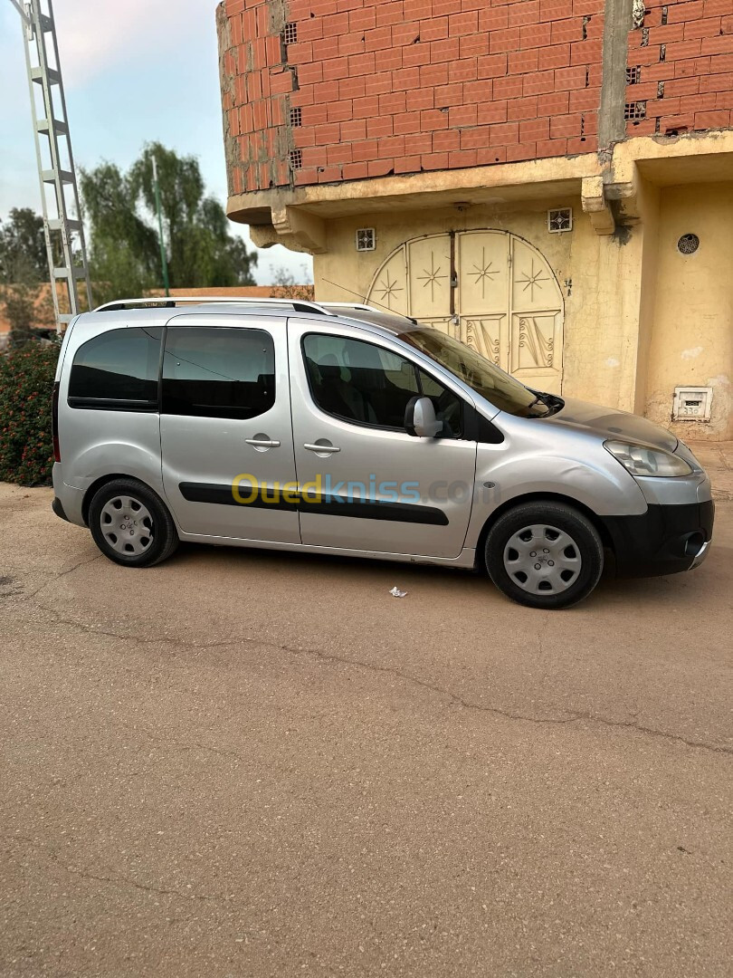 Peugeot Partner 2009 Tepee