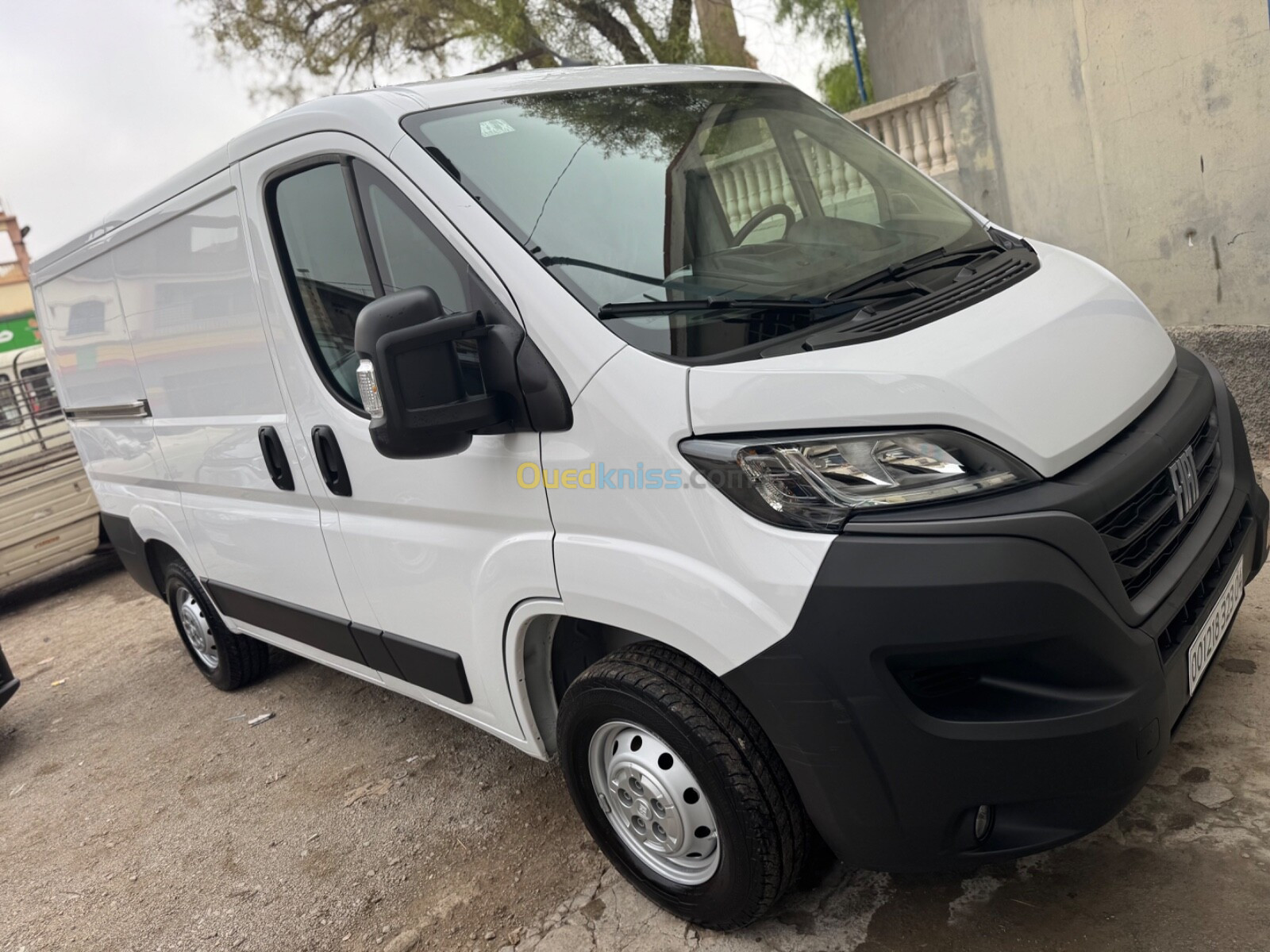 Fiat Ducato caniche H1L1 2023