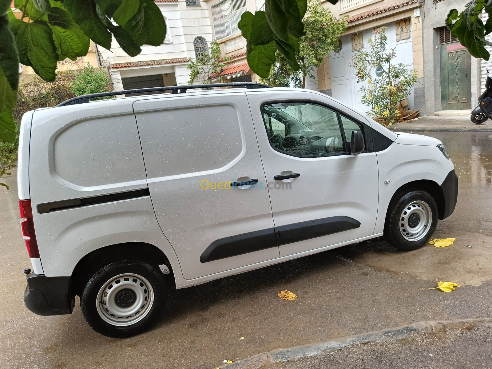 Fiat Doblo 2024 Oran