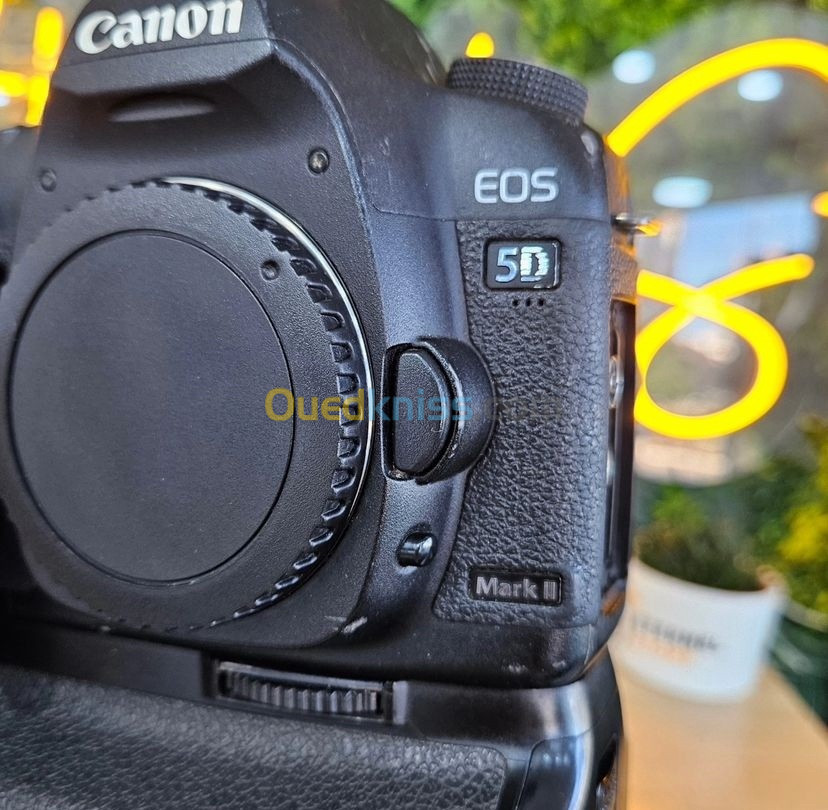 Canon 5D mark ii  click=91K