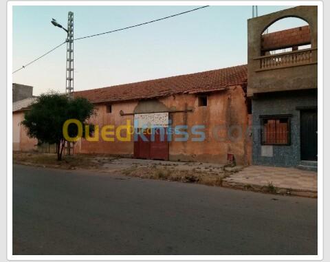 Vente Hangar Aïn Témouchent Hammam bouhadjar