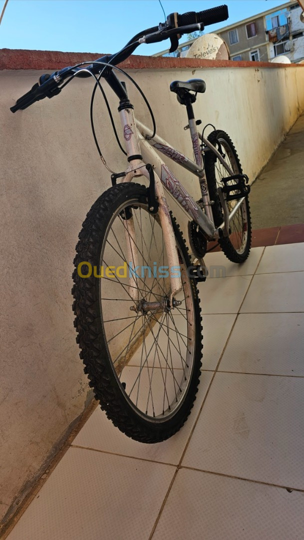 Velo vtt avigo SPR 26" 