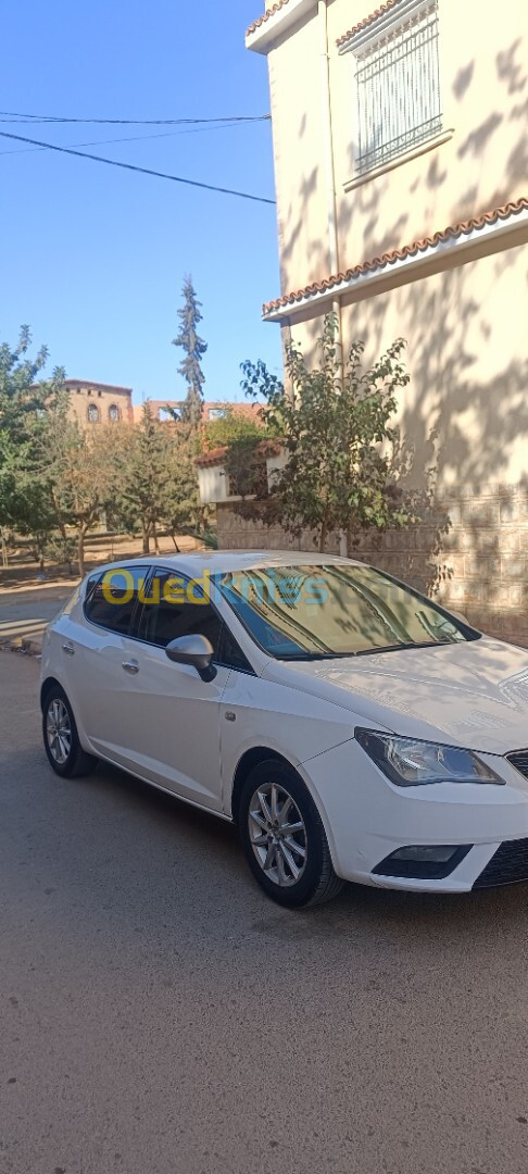 Seat Ibiza 2013 Fully