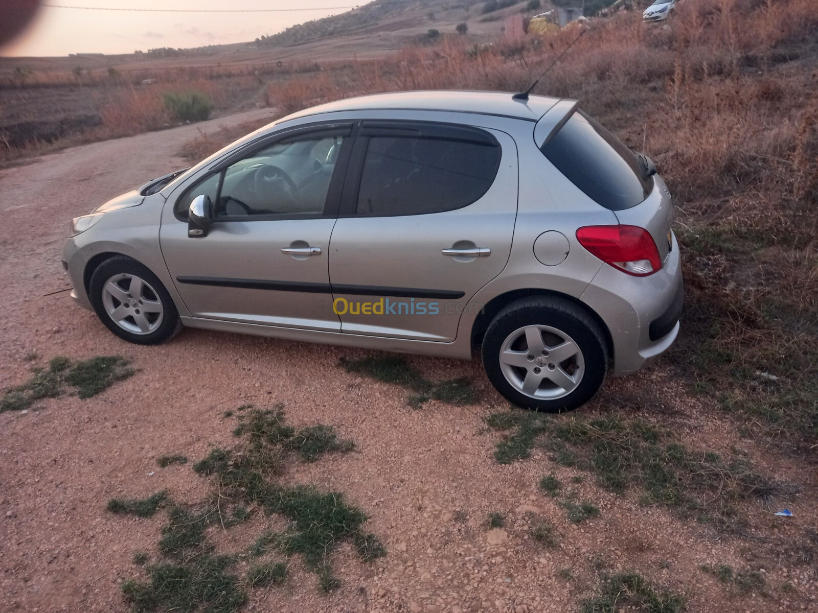 Peugeot 207 2007 207