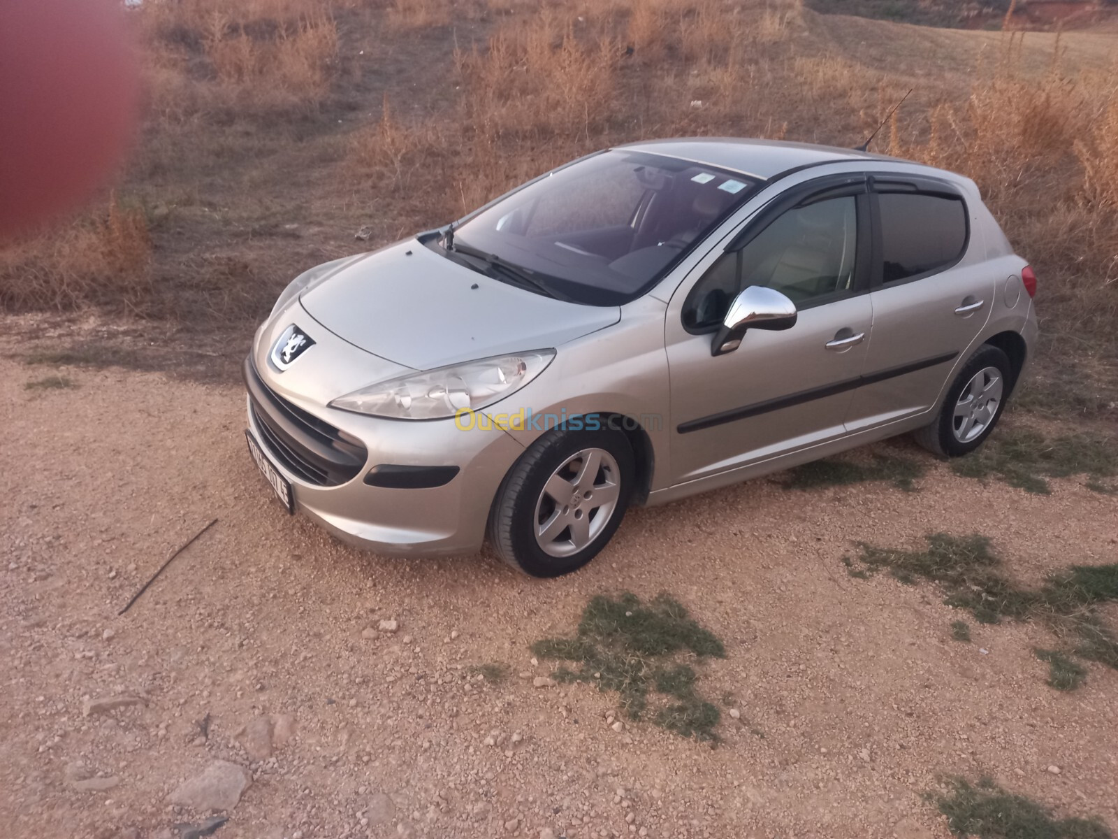 Peugeot 207 2007 207