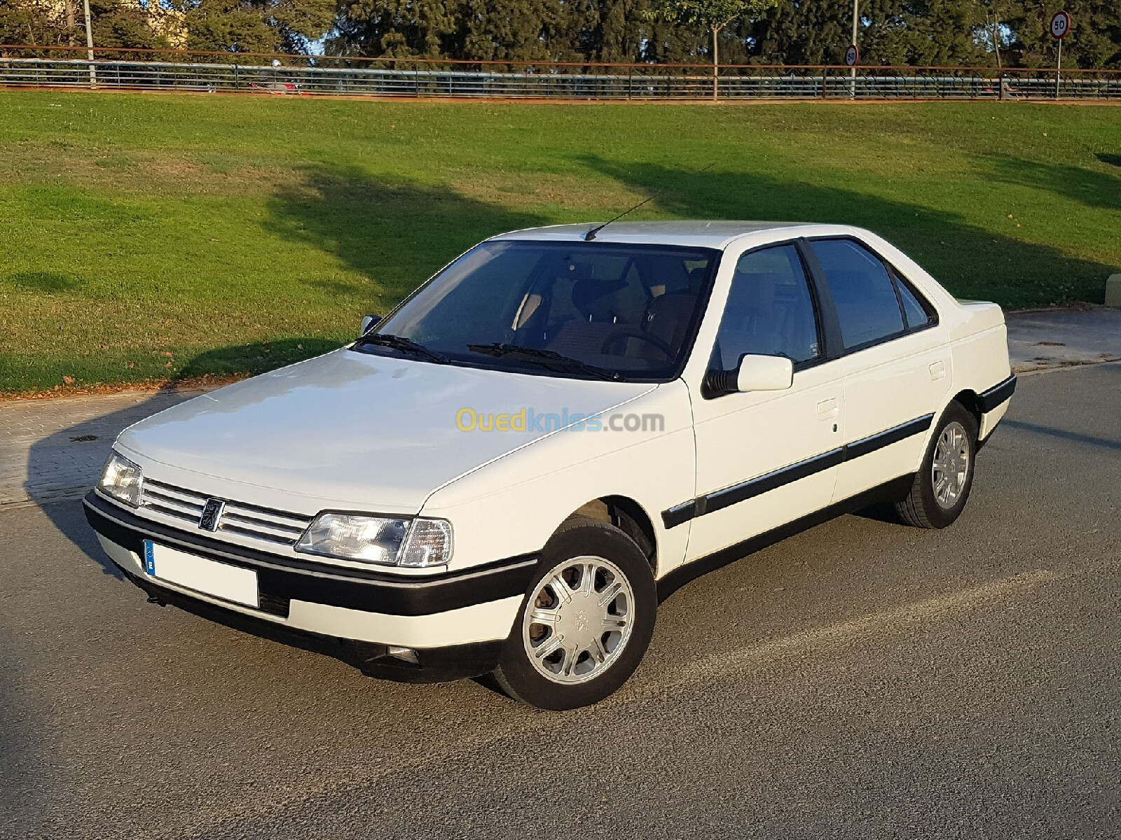 Peugeot 405 1994 405