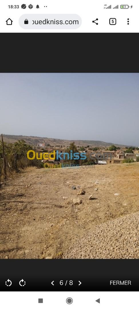 Vente Terrain Mostaganem Sidi ali