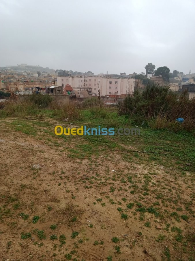 Vente Terrain Mostaganem Sidi ali