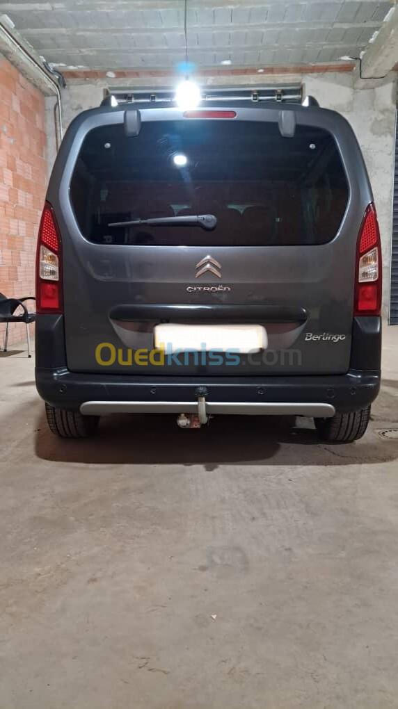 Citroen Berlingo Multispace 2019 XTR Plus