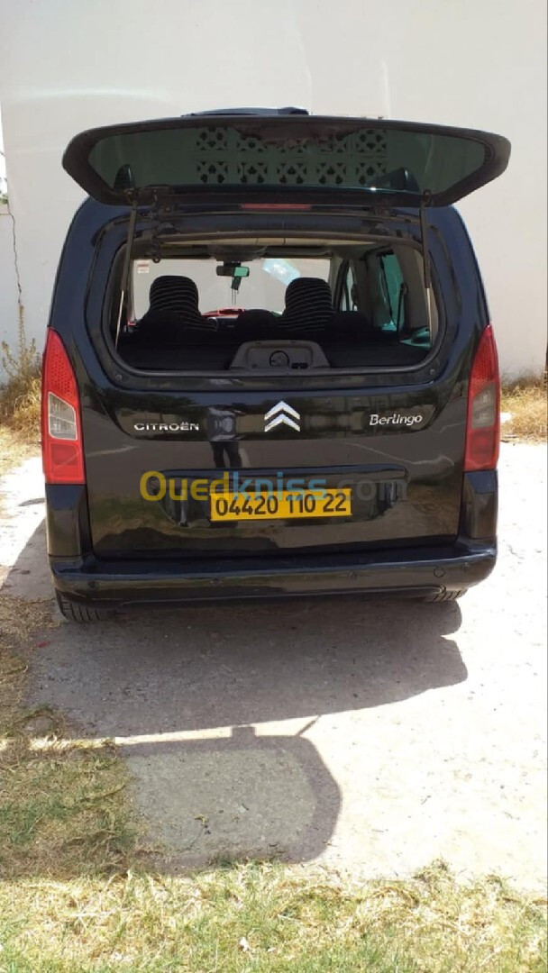 Citroen Berlingo 2010 Multispace